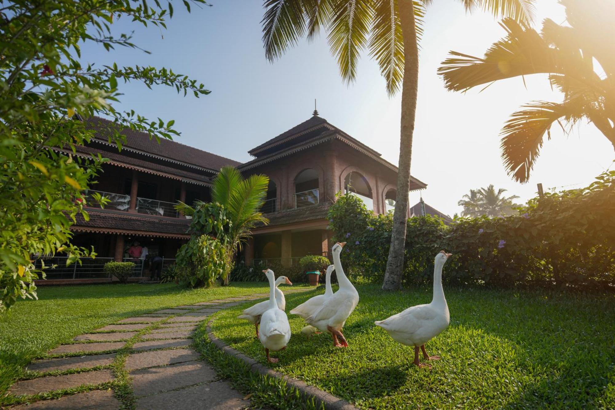 Lakesong Resort Kumarakom Εξωτερικό φωτογραφία