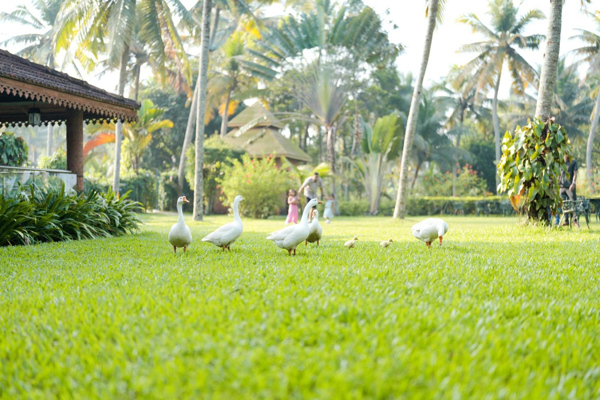 Lakesong Resort Kumarakom Εξωτερικό φωτογραφία
